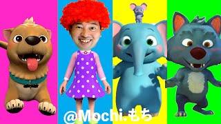 Mochi Family Best  Funny video 