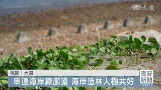 串連海岸防風綠帶 打造生物共棲空間