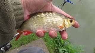 Evegate lake April 27th 2022