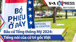 Bầu cử Tổng thống Mỹ 2024: Tiếng nói của cử tri gốc Việt | Truyền hình VOA 6/11/24