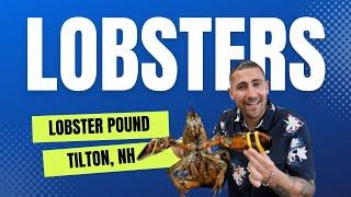 Summer's Best Kept Secret: The Lobster Connection in Tilton, NH | Wicked Bites Food Adventure