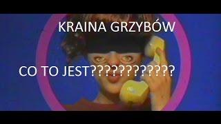 Kraina Grzybów - Co to jest?