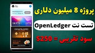 آموزش کامل پروژه تست نت open ledgerبا جذب سرمایه 8 میلیون دلاری