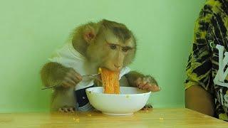 Smart Boy Kako Using Fork For Eats Noodle Very Delicious