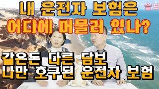 나의 운전자보험은 어디에 머물러 있나..운전자보험의 변천사. 나만호구였내..