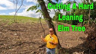 Cutting A Dangerous Hard Leaning Elm Tree #259