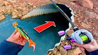 BIG FISH are hiding in unexpected places!! (Fishing + big surprise)