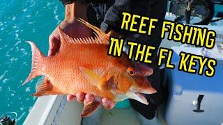 Reef Fishing in the FL Keys + Shark Jumps in Boat?! {Catch, Clean, Cook}