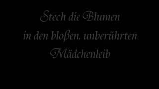 Subway to Sally - Kleid aus Rosen (Lyrics)