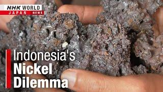 Indonesia's nickel surge: The downsideーNHK WORLD-JAPAN NEWS