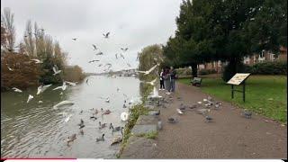 A day in Abingdon, UK: houseboats on the river and much more to explore ll