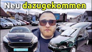 Gewährleistung in Europa (Export) ?  Autohändler Wochenvlog #37