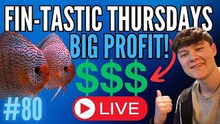  How To ACTUALLY BREED FISH For PROFIT And MAKE MONEY! (EP80) 