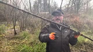 Cutting blackthorn with a shillelagh maker