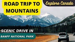 Road Trip in Canada | Canada Couple | Calgary to Banff National Park Alberta Canada