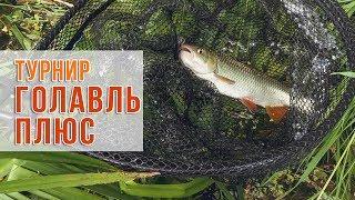 Турнир "Голавль Плюс"