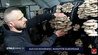 Stirile Kanal D - Succes romanesc, investitie europeana! | Editie de seara