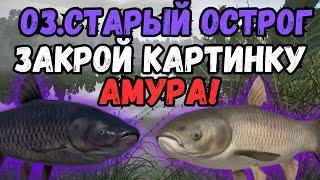 РАЗДАЧА ТРОФЕЙНОГО АМУРА/оз.Старый Острог ● Русская Рыбалка 4 | РР4