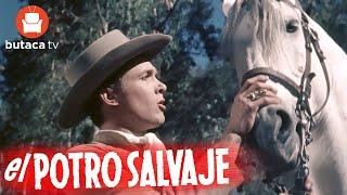 El potro salvaje - película completa