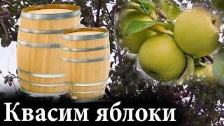 Как квасить яблоки или ЗАКВАСКА ЯБЛОК на зиму