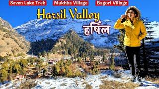 HARSIL : Harsil Valley Uttarakhand | Harsil in Winter | Places To Visit | Mukhba | Sapttal | Bagori