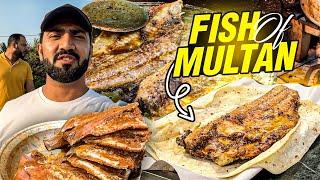 MULTAN Street Food Famous Fish of Allah Wasaya, Naveed Biryani and Sohan Halwa | Multan Street Food