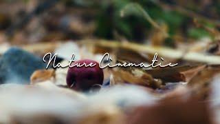 Nature Cinematic | Video Sinematik Alam KEREN