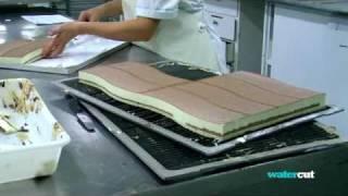 www.mttec.com-Manipulation of products with Watercut slicing machines