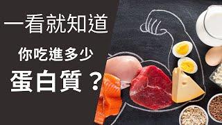 一看就知道吃進多少蛋白質Protein/增肌新手入門必看/簡單易懂/人人都可以成為增肌高手(蛋白質系列 2)