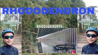 RHODODENDRON TREK // OFF ROAD CYCLING //  UPPER SHILLONG