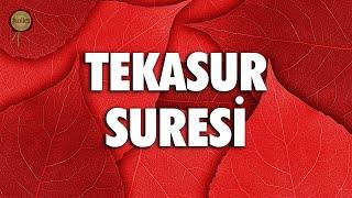 Tekasur Suresi | Kesin Olarak Bir Bilseydiniz | İsmail Güney | fussilet Kuran Merkezi