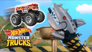 MONSTER TRUCKS RACES: Mountains VS Islands! ️️ | Hot Wheels