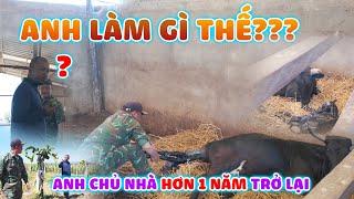 Quanglinhvlogs || Sau Hơn 1 Năm Trở Lại Quang Linh Farm -  Anh Chủ Nhà Bất Ngờ Vì Sự Thay Đổi Lớn.