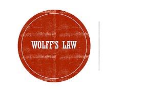 Wolff's Law