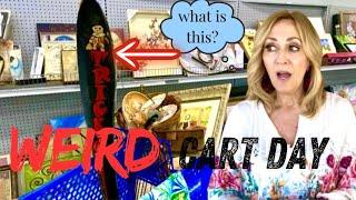 Buying Weird Stuff in The Goodwill Thrift | Can I SPEAK German?| Pulling Ebay SOLDS