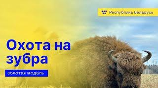 Охота на зубра. Hunting bison.