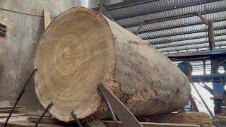 Amazing Raw Wood Sawmill | Operating Extra Large Saws, Beautifully Sawing Planks