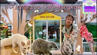 Little Zoo Cafe Bangkok 曼谷人氣動物Cafe 超可愛白毛狐狸￼￼ Femnec Fox