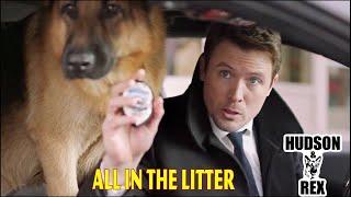 Hudson and Rex Season 2024 - All in the Litter -  Best American Police And Crime Movies