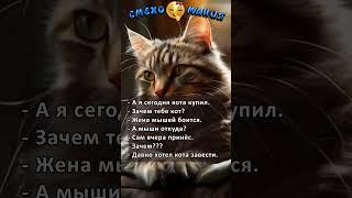  Кот #shorts #анекдоты #смех #юмор #короткиеанекдоты #анекдоты2025
