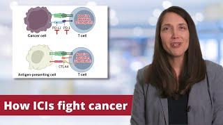 Cancer Immune Checkpoint Inhibitors