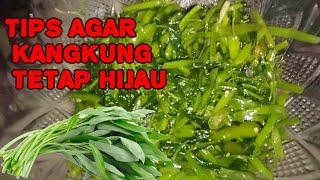 ️tumis kangkung pedas