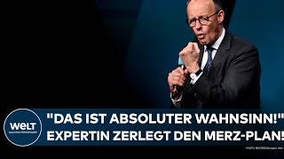 DEUTSCHLAND: Merz-Plan? "Das ist absoluter Wahnsinn!" Knallhart-Abrechnung mit Union und SPD!
