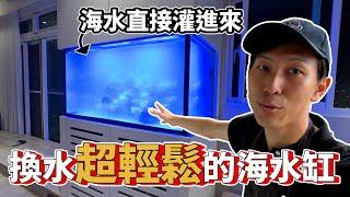 【藍箱水族】換水超輕鬆的海水缸！裝潢規劃案：250公升水塔直接灌！六個月從零到超會養~竹北洪先生