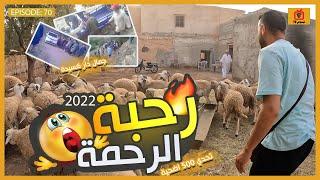 شرينا  63 حولي ولقينا جمال دار كسيدة بطريبورطور