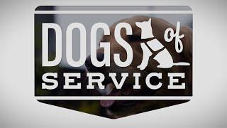 Dogs of Service | Trailer