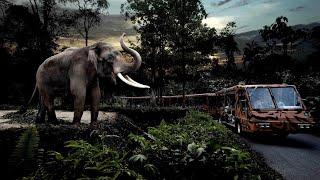 Night Safari Singapore | Show, Tram ride & walkabout | Full video