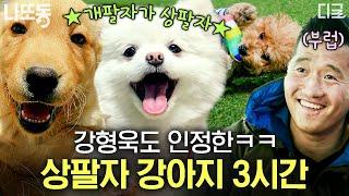 [#고독한훈련사] (3시간) 우리 집 강아지 눈 감아.. 강형욱도 부러워하는 삶을 사는 반려견 여기가 바로 개토피아 | #나중에또볼동영상