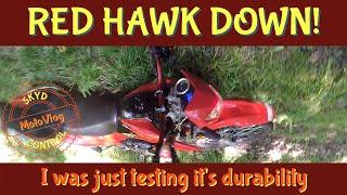 Hawk 250 Dual Sport Ride & CRASH!  MotoVlog with bike updates, Woods riding, & Turkeys!