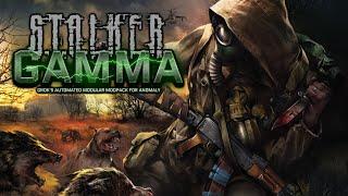 The Best Survival Game of the Year is Free - STALKER GAMMA